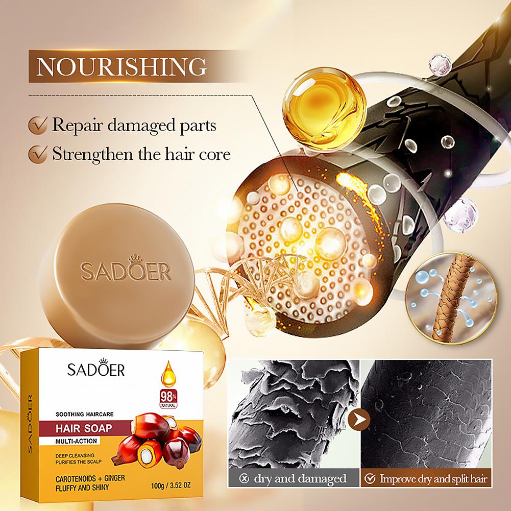 Ginger Shampoo Bar Natural Hai - đánh giá và giá Bar Soap Shampoo Solid